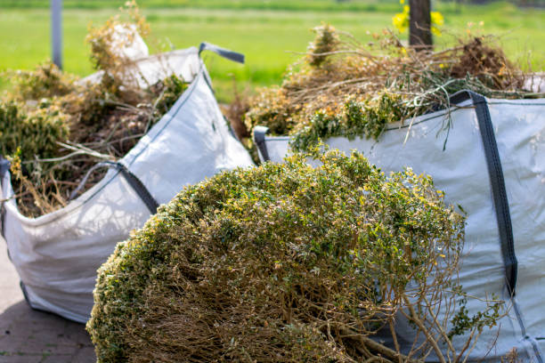 Best Household Junk Removal  in Wimauma, FL